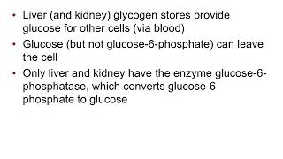 Physiology Chapter 3 Part 3 of 3 [upl. by Aratnahs]