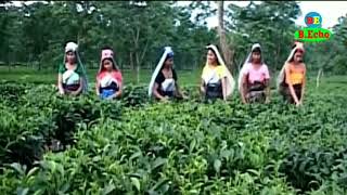 Swmkwr Swmkwr Saha Bilai Bodo Song Video [upl. by Kcirdneked985]