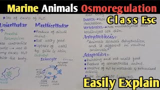 Osmoregulation In Marine Animals  Class 12 Biology [upl. by Dodi779]