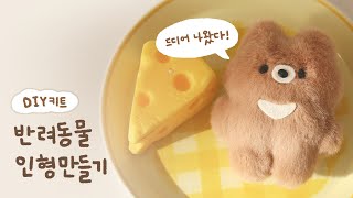 본격 감자즈 고기잡는 법 알려주기 대작전 반려동물 인형 DIY 키트🧸 [upl. by Drugge]