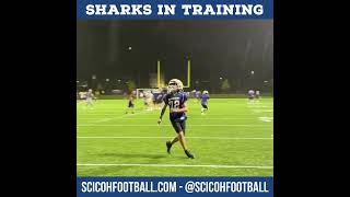 Sharks prepping for the season [upl. by Ban]