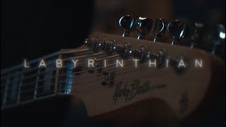 Humanitys Last Breath  Labyrinthian Guitar Cover [upl. by Adnawuj]