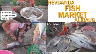 🐟🦐रेवदंडा होलसेल फिश मार्केट  Alibag Fish Market 🦐 Alibag  Revdanda fish fishing fishmarket [upl. by Niloc489]