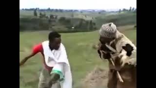 Ethiopian Comedy Kibebew Geda [upl. by Herries]