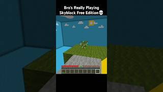 Minecraft Skyblock Free Edition minecraft [upl. by Ylle]