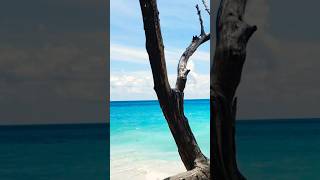 Blue Water Ocean  Andaman amp Nicobar Isalnds  Kalapattar Beach  trending viral shorts reels [upl. by Priest268]