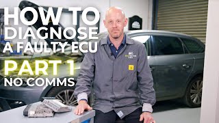 How To Diagnose A Faulty ECU With No Communication [upl. by Stavro]