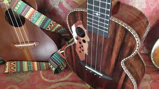 Rich Takes A Look At All The Ukuleles On His Futon [upl. by Ahtelahs]