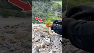 Rescuing a Tiny Roadside Plant 😍 [upl. by Noraed]