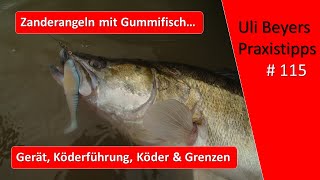 Zanderangeln mit Gummifisch [upl. by Eibur235]