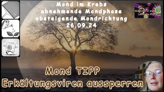 Mond TIPP für die Gesundheit  Erkältungsviren aussperren [upl. by Eceinhoj]