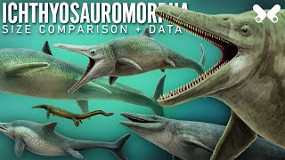 ICHTHYOSAURS and relatives  Size comparison and data [upl. by Attiuqihc675]