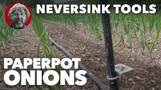 Paperpot Onions  The Quickest Way to Plant [upl. by Jolene]