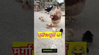 मुर्गा मुर्गी को कैसा धमकी दी 😂shortsfeed comedy funny trending shorts [upl. by Kila]