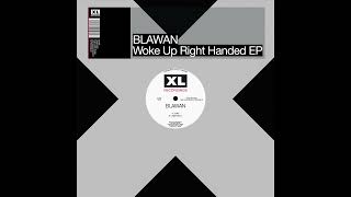 Blawan  Close The Cycle [upl. by Carboni]