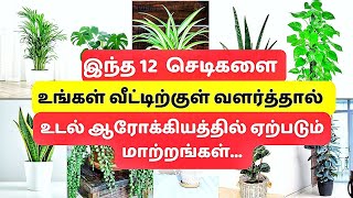 12 of The Healthiest Plants To Have In Your House For Healthy Lifestyle in Tamil [upl. by Hibbitts757]