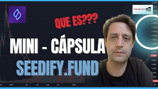 ✅ MiniCapsula Qué es Seedify Lo nuevo de Criptobernie [upl. by Vincents]