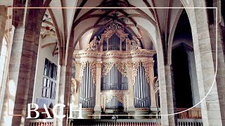 The Silbermann organ in Freiberg  Netherlands Bach Society [upl. by Alhak]