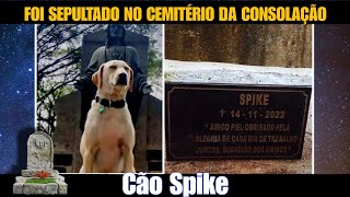 Túmulo do cachorro Spike  Cemitério da Consolação [upl. by Almond]