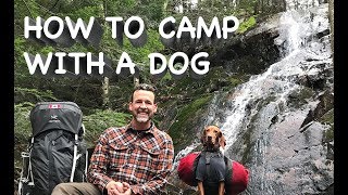 How to camp with a dog Solo hiking and canoeing in the Ontario wilderness [upl. by Anyad]