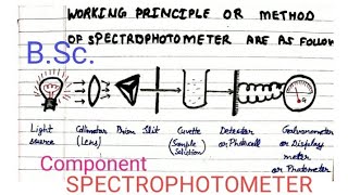 Spectrophotometer  BSc  Part2nd  Component  Working method  Procedure  Uses  Applications [upl. by Pfister]