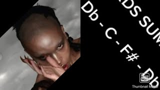 FKA twigs  Eusexua CHORDS [upl. by Eelahs197]