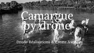 Camargue by drone [upl. by Latisha794]