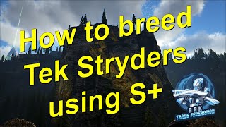 How to breed Tek Stryders using S  Ark Survival Evolved [upl. by Brecher]