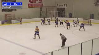 Homestead vs Carroll  Fort Wayne Amateur Hockey  SummitCitySports [upl. by Attenrev867]