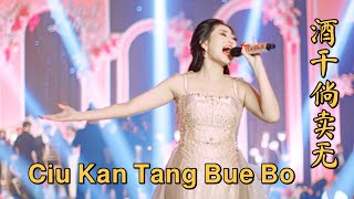 Ciu Kan Tang Bue Bo 酒干倘卖无 Helen Huang Live Performance  Lagu Mandarin Lirik Terjemahan [upl. by Lipson]