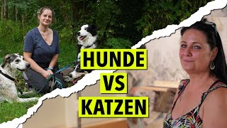 Wie Hund und Katze [upl. by Steep890]