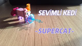 Bloklardan Kedi Yapımı🐱‍👤Making Block CatDIYSupercat [upl. by Aes]