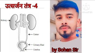 उत्सर्जन तंत्र utsarjan tantrkidney वृक्क Class10th Biology chapter 4 बिल्कुल आसान भाषा में [upl. by Greggory]