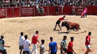 2º Encierro de toros Fiestas de El Molar 28052022 [upl. by Kwei205]