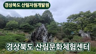 국내 배낭여행 브이로그 안동 가족여행 경북산림자원개발원 산림문화체험센터 [upl. by Ecirtaemed565]