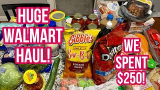 WALMART HAUL  250  HUGE  Stocking Our Shelves and Freezer  Part 1  WOW [upl. by Jaala]