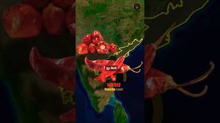 Chilli in indian states  Different types of chilli in india  chilli food in india  facts [upl. by Danit]