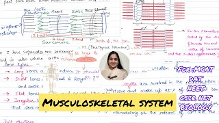 Musculoskeletal System  Bones Muscles and Joints 🗣️ [upl. by Ivanna]