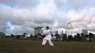 Master Daniel Tan Yang Style Taiji 24 Form [upl. by Eanej783]