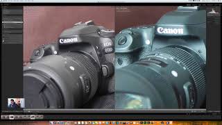 Nikon d500 vs Nikon d850 high iso test [upl. by Berta560]