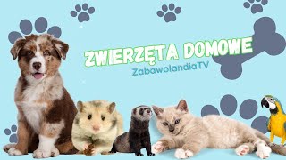 Zwierzęta Domowe Dla Dzieci  Odgłosy Zwierząt Domowych [upl. by Aufa]