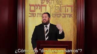 Rabino Eprhaim Eliyahu Shapiro  Ceder [upl. by Aneelehs]