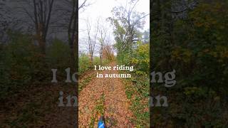 I love riding in autumn moto motorcycle insta360 fall autumnleaves [upl. by Siward98]