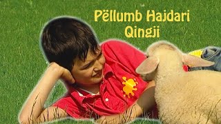 Pellumb Hajdari  Qingji [upl. by Oruntha]