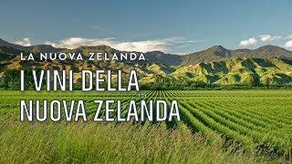 I vini della Nuova Zelanda  Tannico Flying School [upl. by Aramoix]