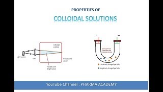 Properties of Colloidal Solutions [upl. by Elsey]