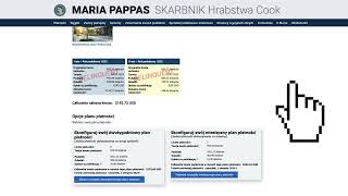 How to Use the Payment Plan Calculator  Polish [upl. by Elac]