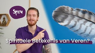 22 Veren die volgens Sjamanen Spirituele Betekenis hebben Boodschappen van Boven [upl. by Eitra]