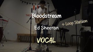 Bloodstream  Ed Sheeran  vocal cover Loop station [upl. by Eiltan308]