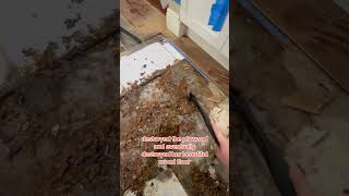 Laminate flooring destroyed by water and then repaired flooring [upl. by Elfont121]